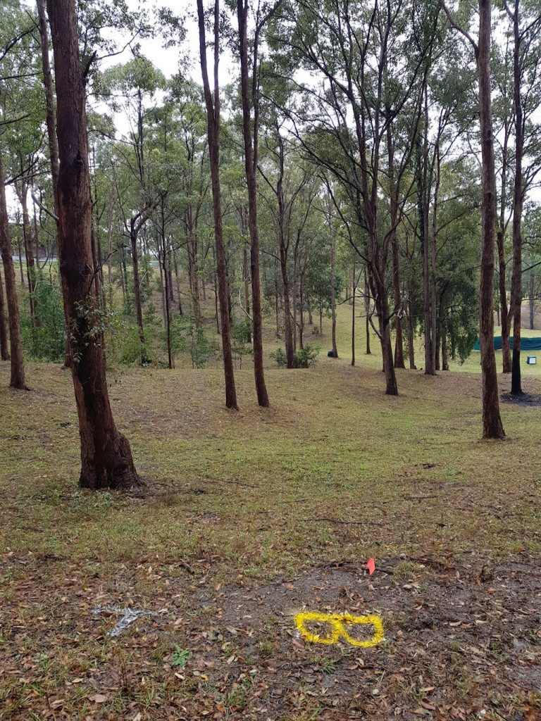 an image of a disc golf course