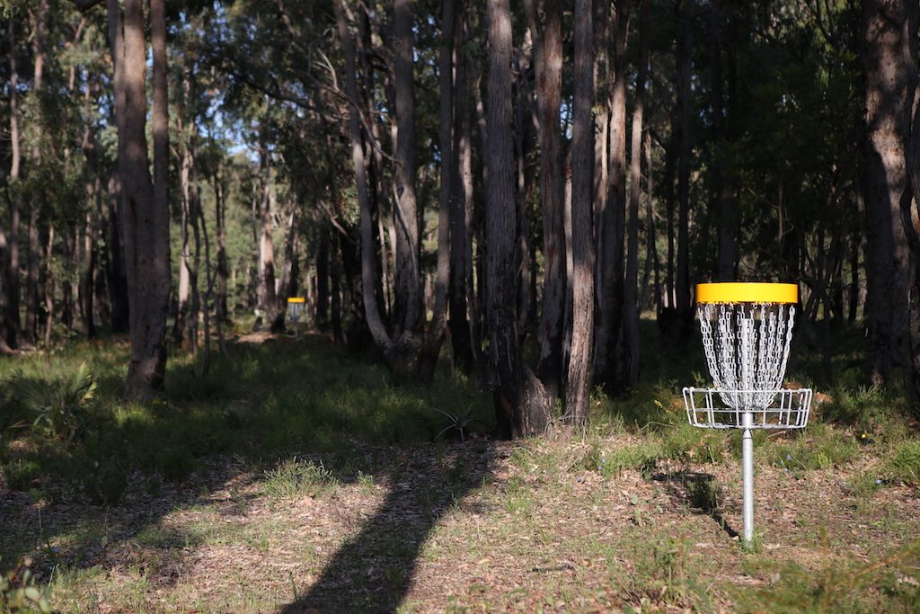 an image of disc golf basket in a disc golf course