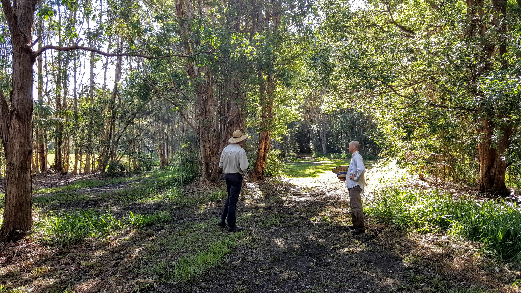 an image of two man standing in the middle of a disc golf park