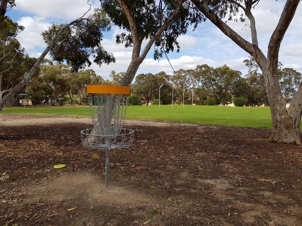 an image of a disc golf basket target in a disc golf course