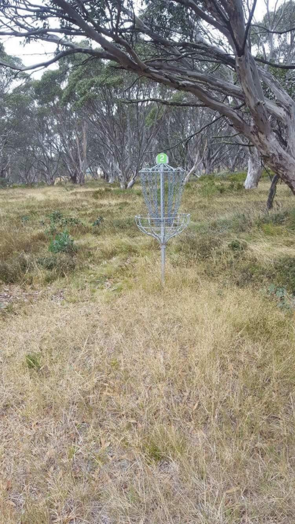 an image of disc golf basket