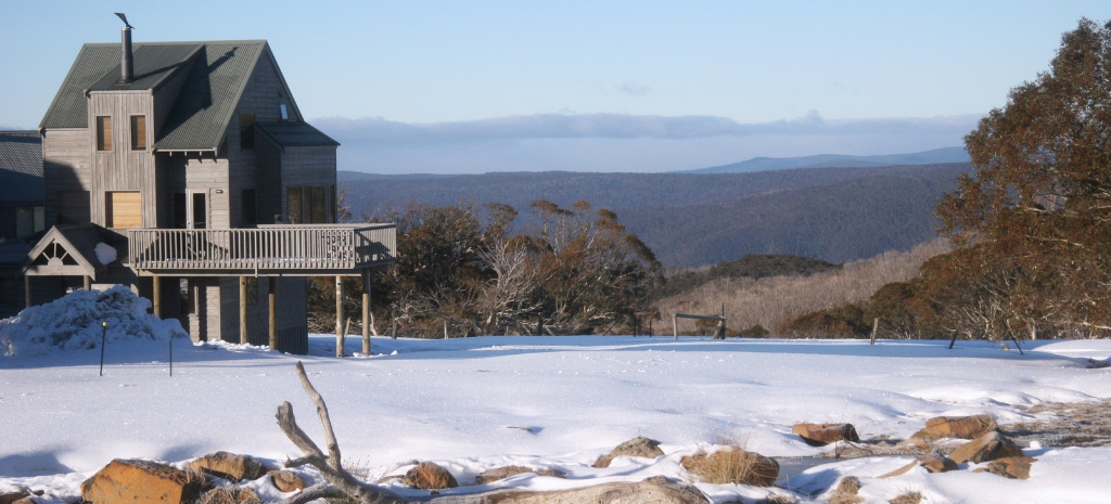 an image of a snowy disc golf park