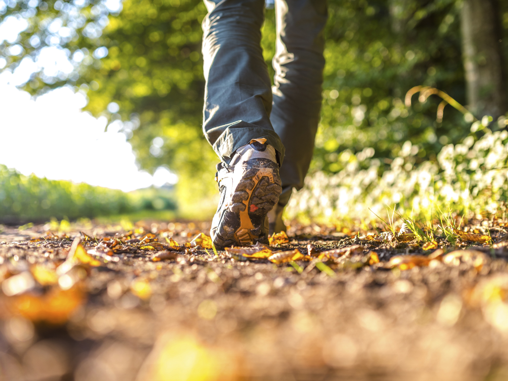 an image of feet walking