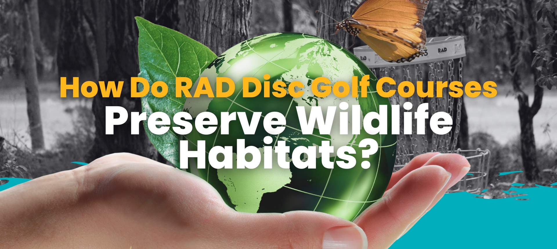 How Do RAD Disc Golf Courses Preserve Wildlife Habitats